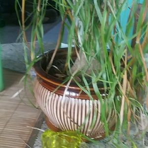 Meet your Posher, Keith