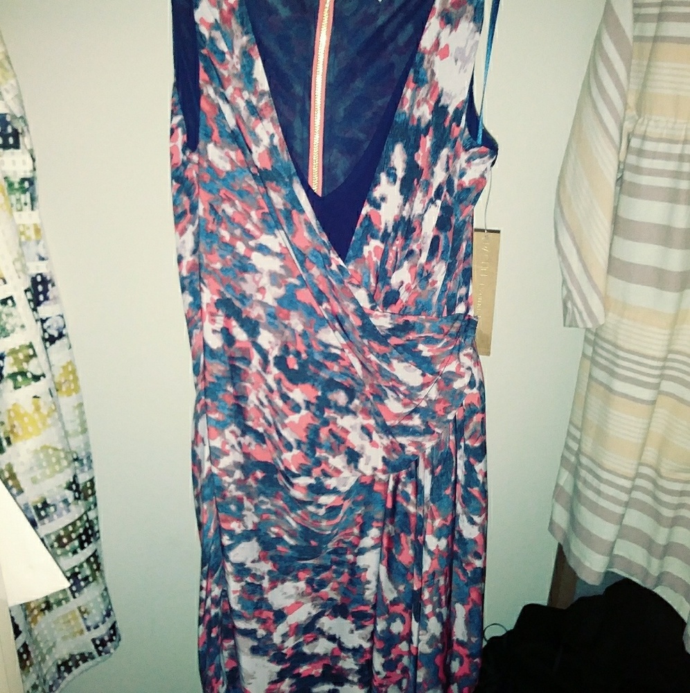 Rachel Roy dress