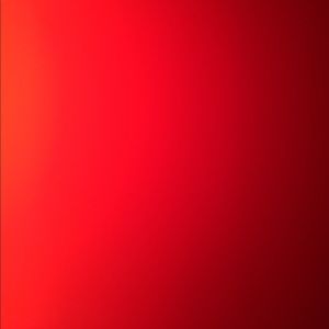 Meet your Posher, Delaney