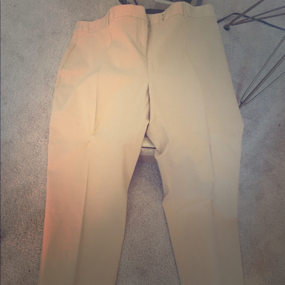 Tan dress pants, Lane Bryant, size 20