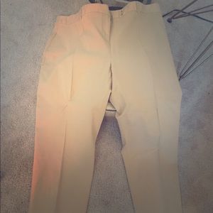 Tan dress pants, Lane Bryant, size 20