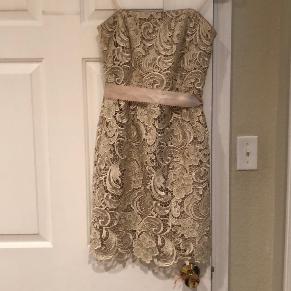 Adrianna Papell Evening - Champagne Lace Dress