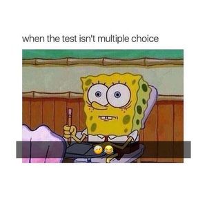 Meet your Posher, Dante