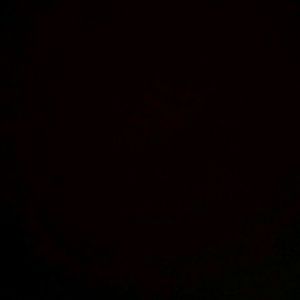 Meet your Posher, Chantel