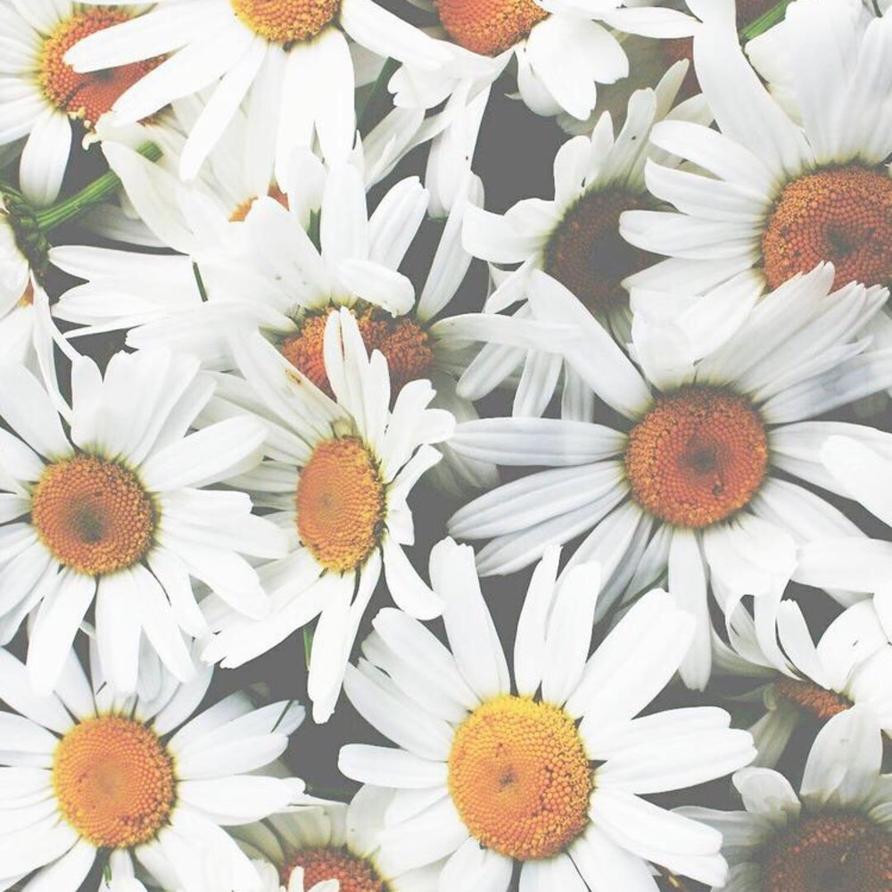 Meet your Posher, Liah