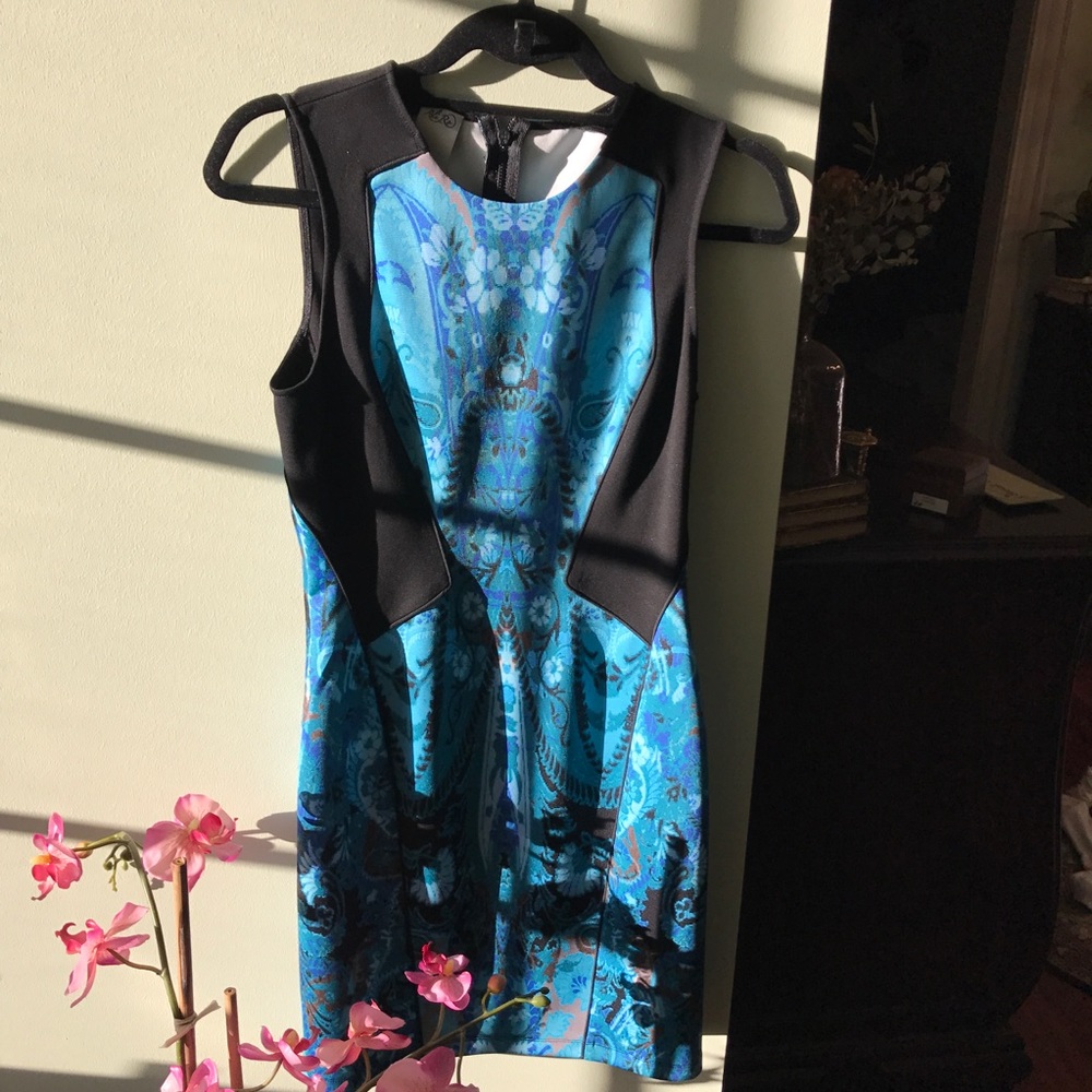 Ali Ro Dress