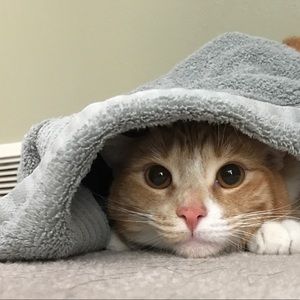 Meet your Posher, Briana