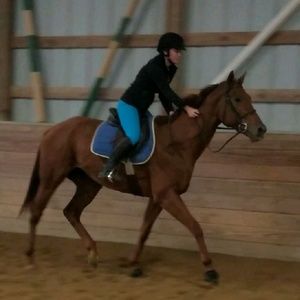 Meet your Posher, Ali