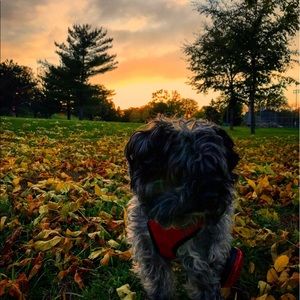 Meet your Posher, Alazae