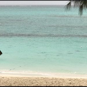 Meet your Posher, Tinelle