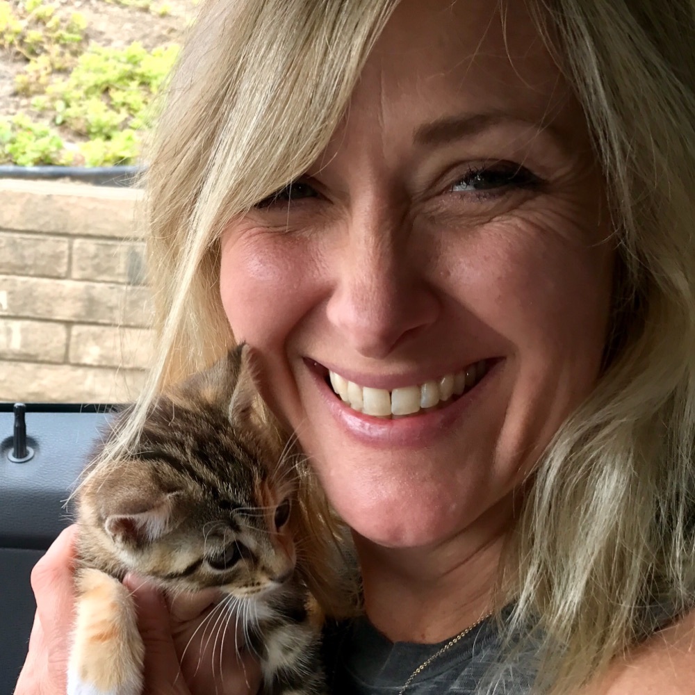 Meet your Posher, Kitty