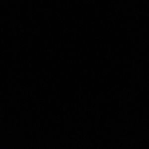 Meet your Posher, Jamesha