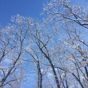 Meet your Posher, Ellie