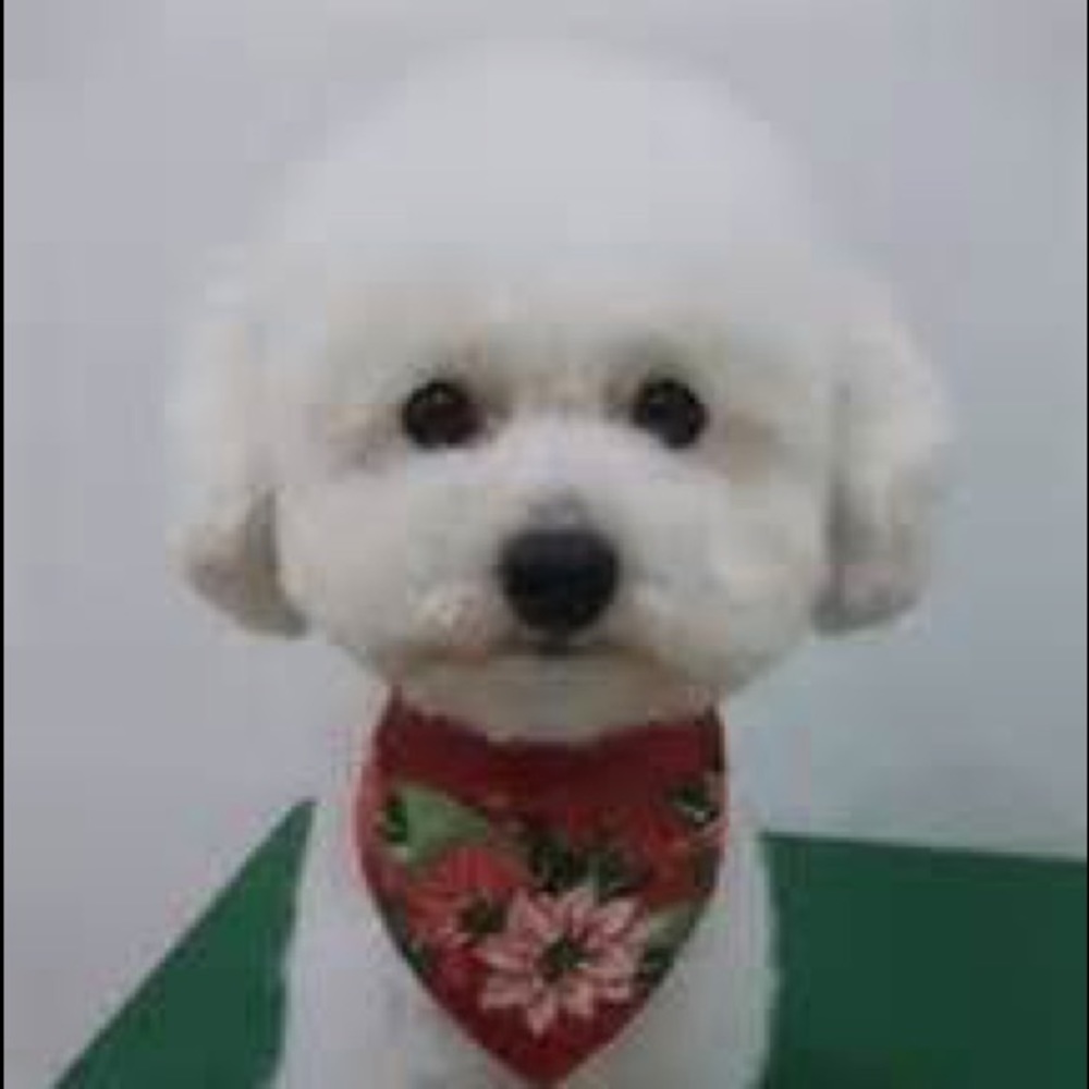 Meet your Posher, Sosa