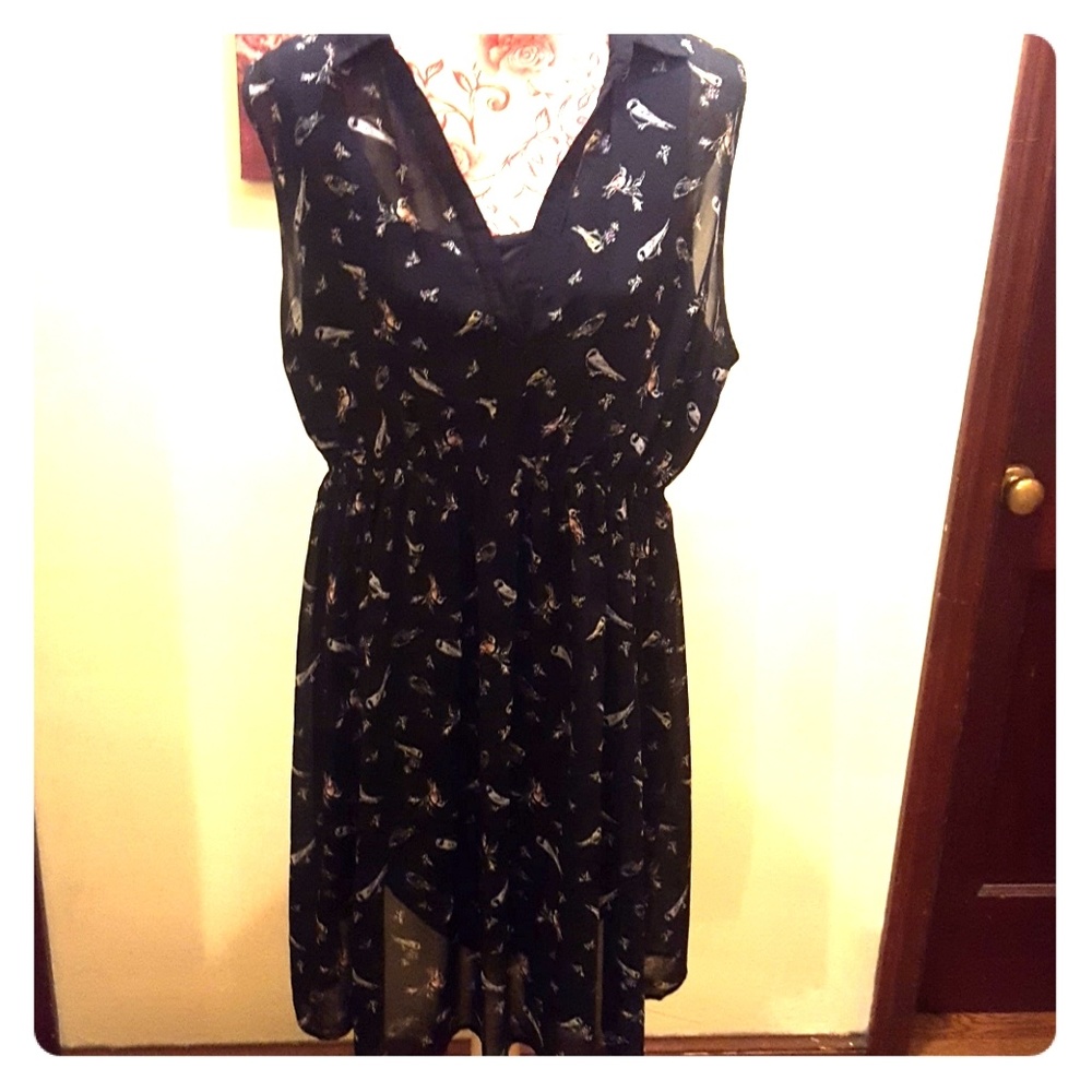 Torrid dress