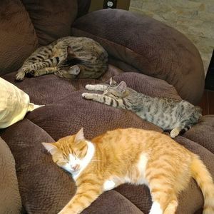 Meet your Posher, Melissa