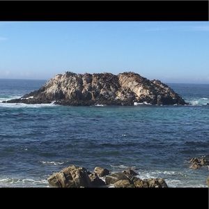 Meet your Posher, Elisa