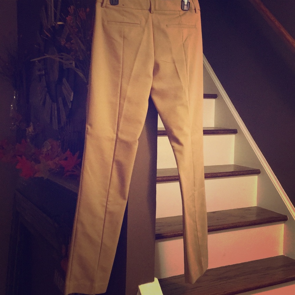 Brand new Express columnist dress pants