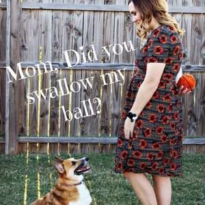 Meet your Posher, Lyndsay