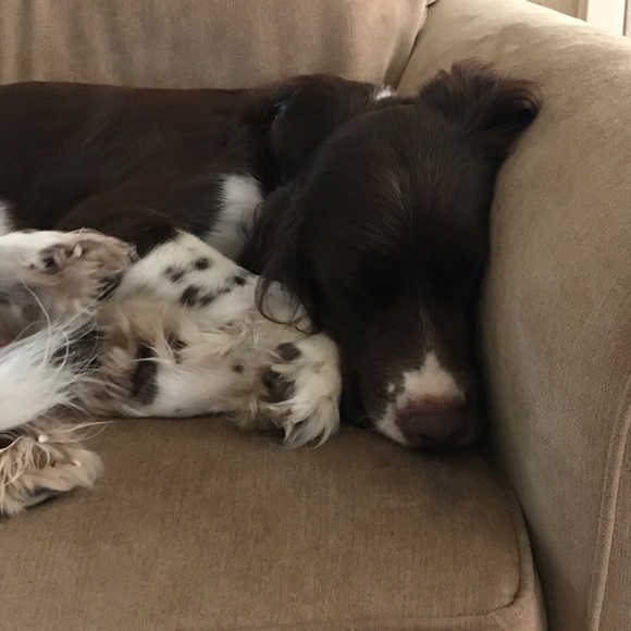 Meet your Posher, Heidi - Picture 1 of 1