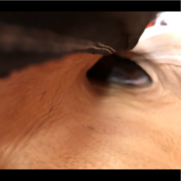 Genuine Python Leather Boots - Picture 5 of 8