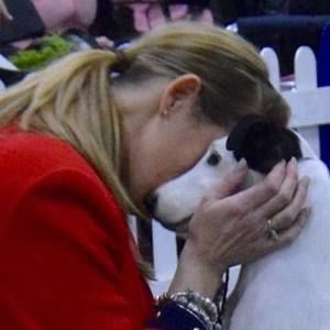 Meet your Posher, Dana