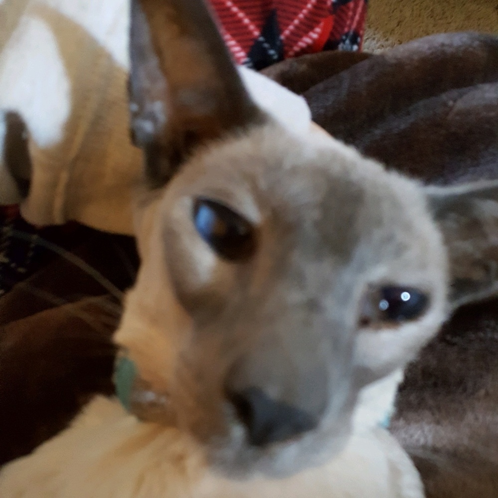 Meet your Posher, Michelle