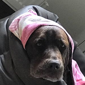 Meet your Posher, Christine