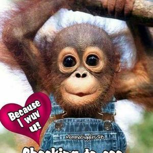 Meet your Posher, Janet