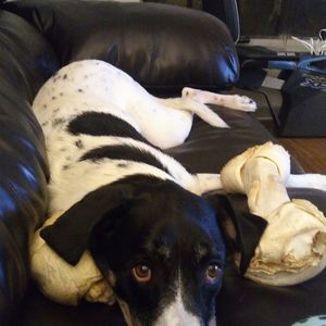 Meet your Posher, Katrina