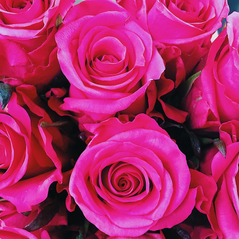 Meet your Posher, Julia