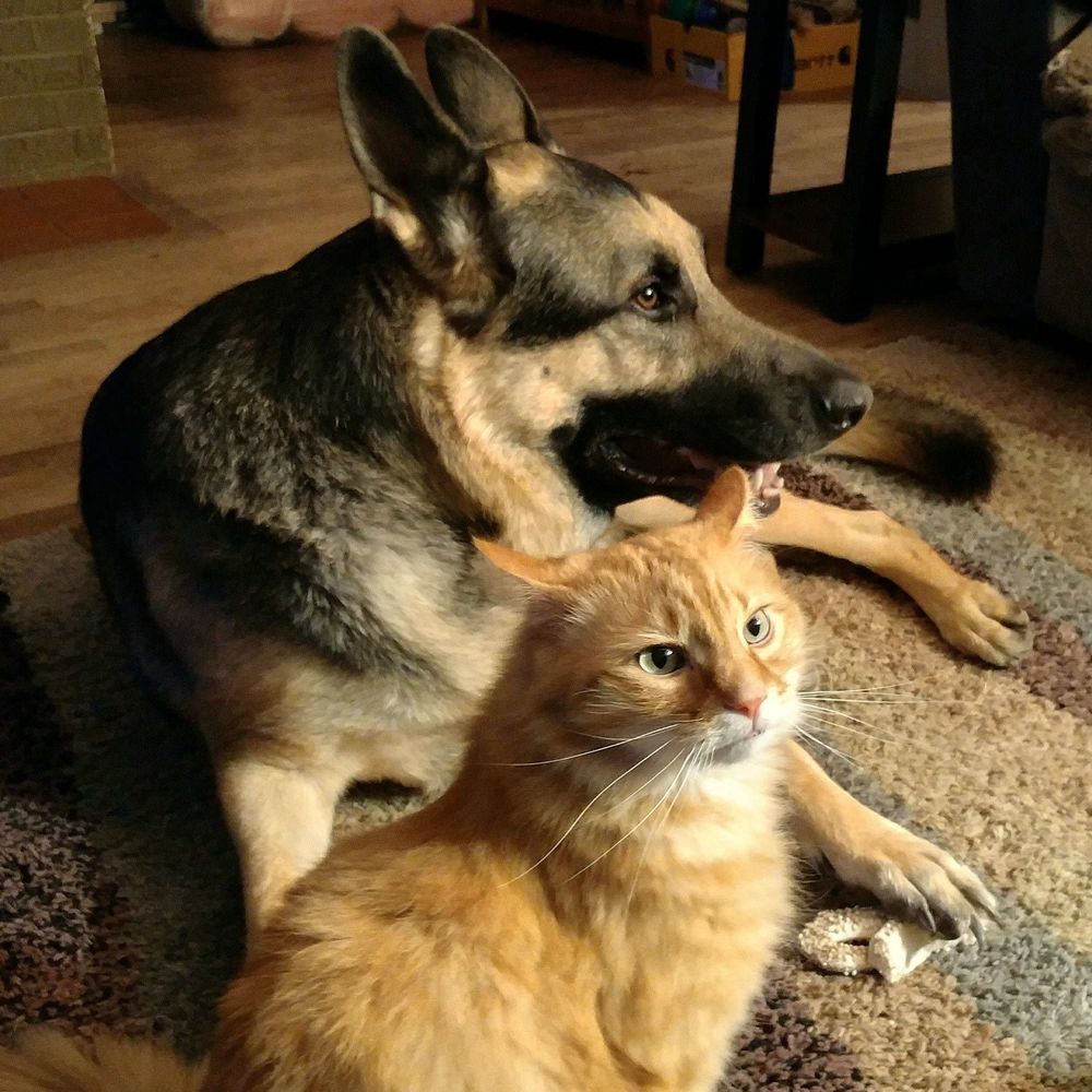 Meet your Posher, Monica