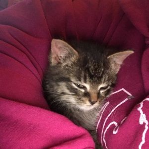 Meet your Posher, Jr