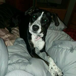 Meet your Posher, Elaine