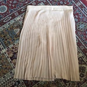 Pleated Sheer Mini Skirt