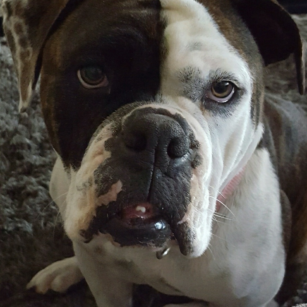 Meet your Posher, Kari