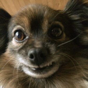 Meet your Posher, Janie