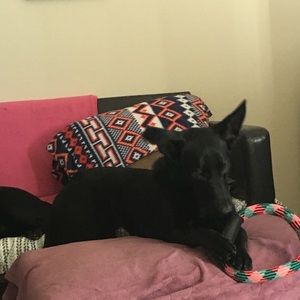 Meet your Posher, Timothy