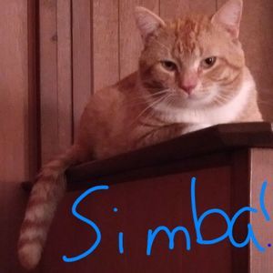 Meet your Posher, Katelyn