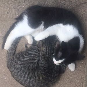 Meet your Posher, Jonathan