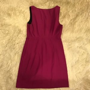 Fuschia pink with black lining theory dress