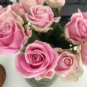 Meet your Posher, Leesa