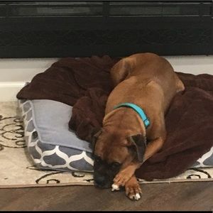 Meet your Posher, Tami