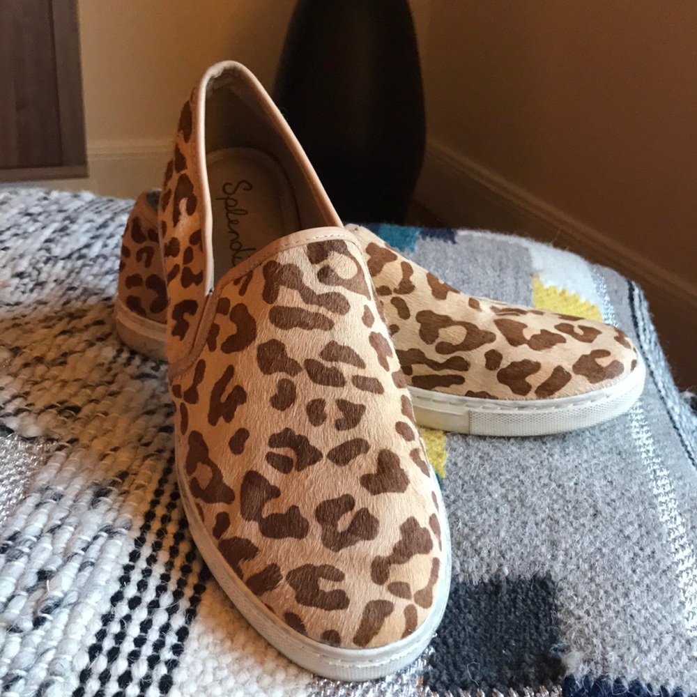 Cheetah slides
