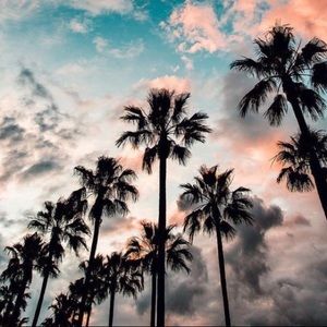 Meet your Posher, Elise