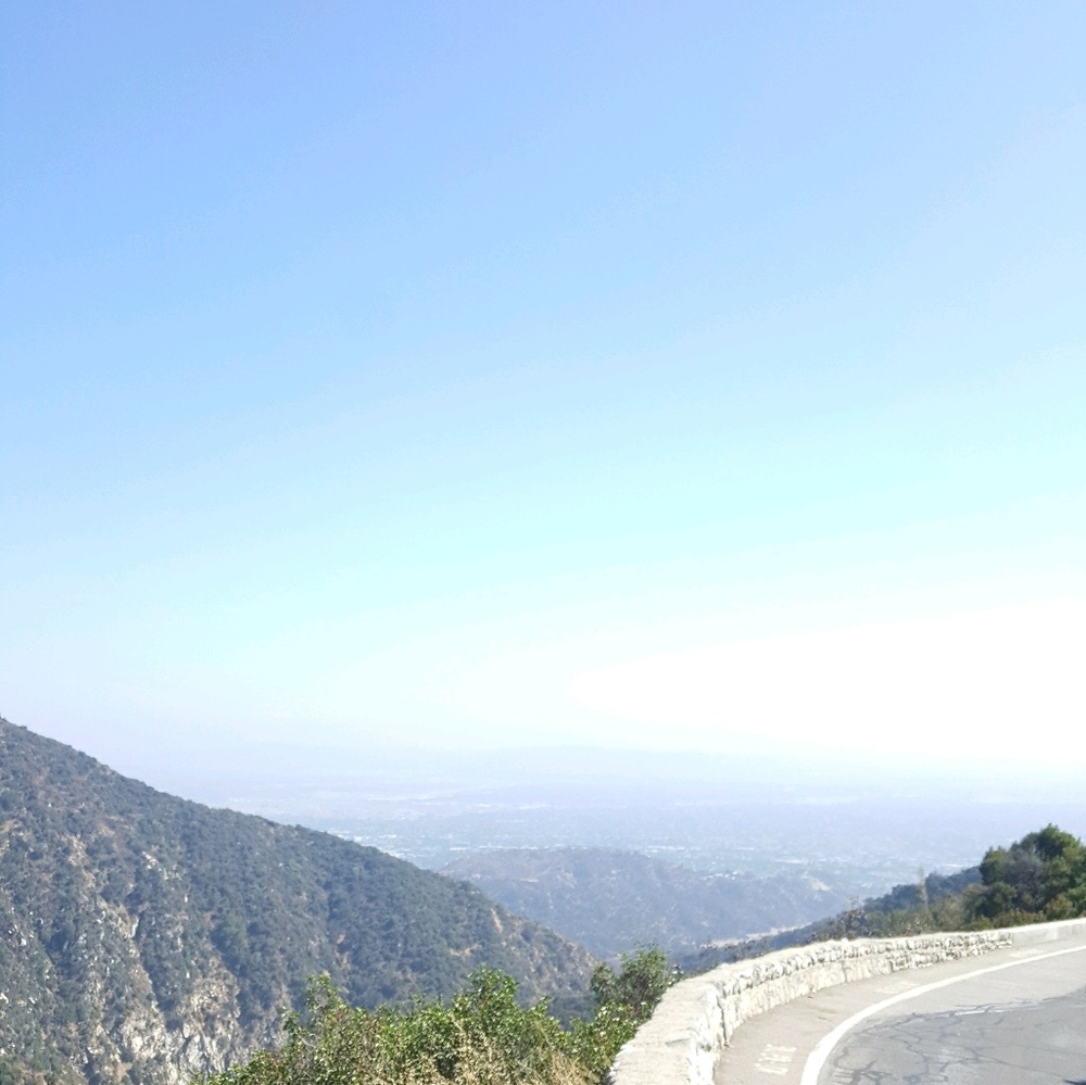 Meet your Posher, Max