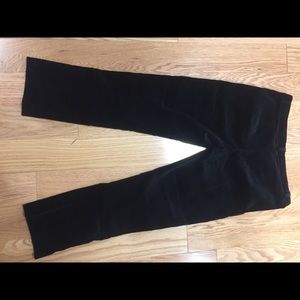 Black Velvet Theory Pants