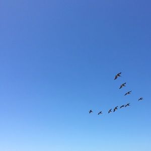 Meet your Posher, Ev