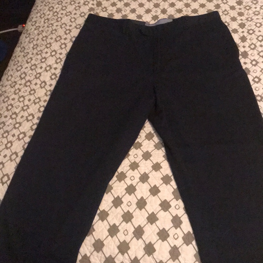Daniel Cremieux pants