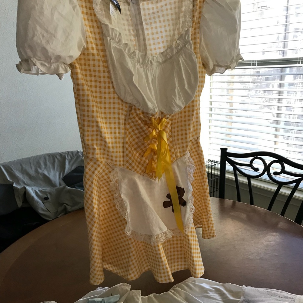 Charades Goldee Locks Costume